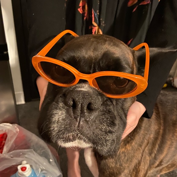 Meet your Posher, Peyton - Picture 1 of 1